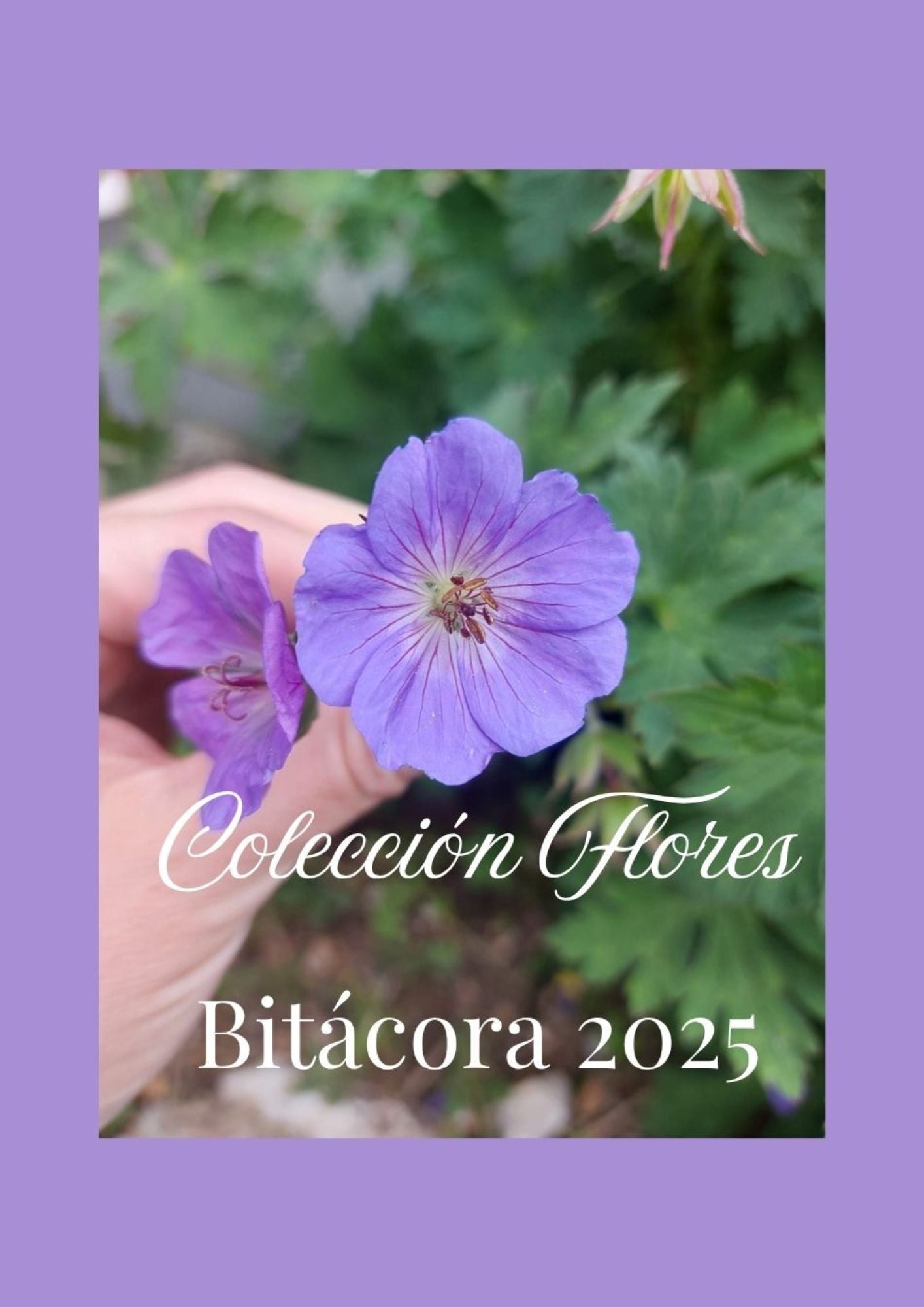 FLORES
