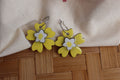 FLOR DE ANJANA