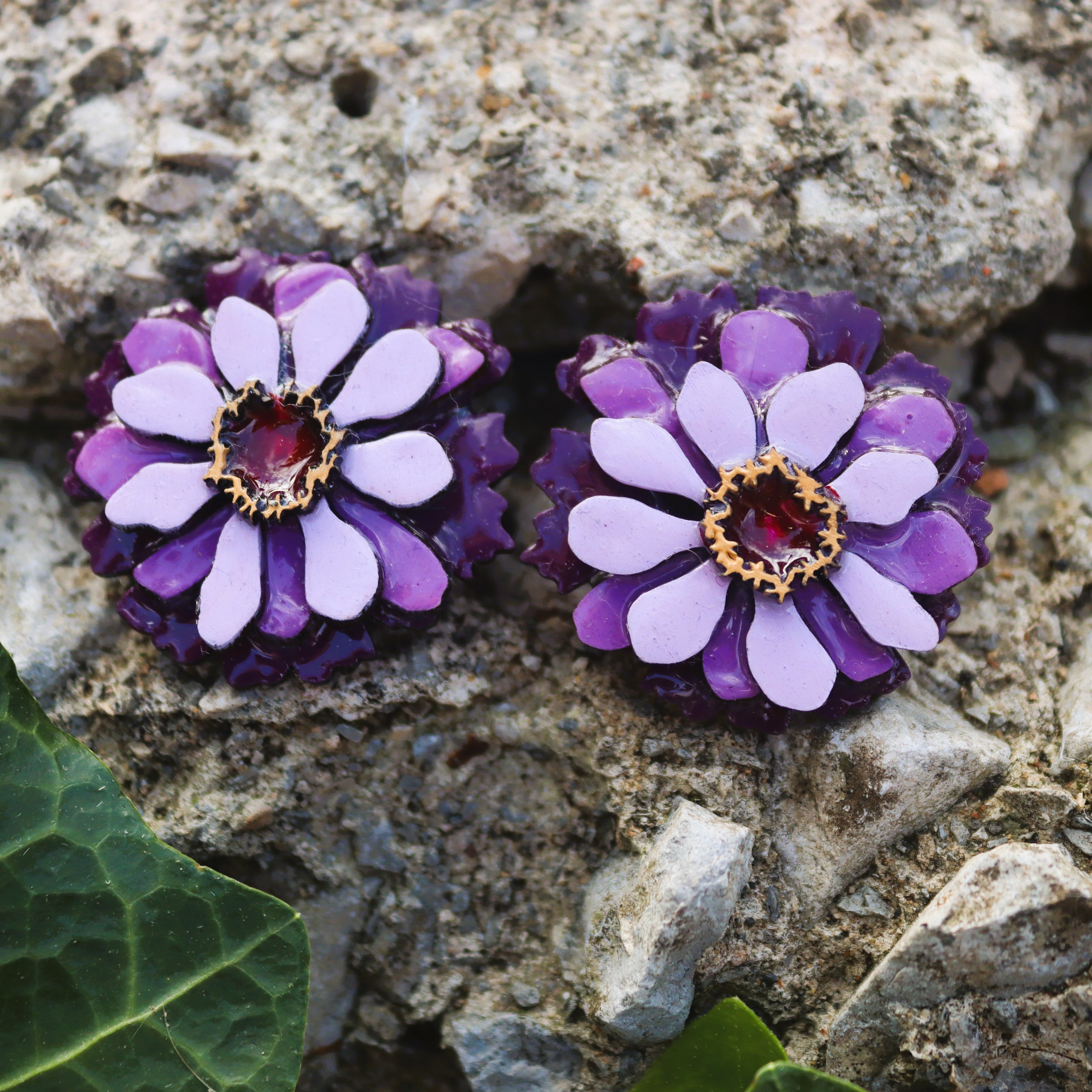 ZINNIAS