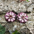 ZINNIAS