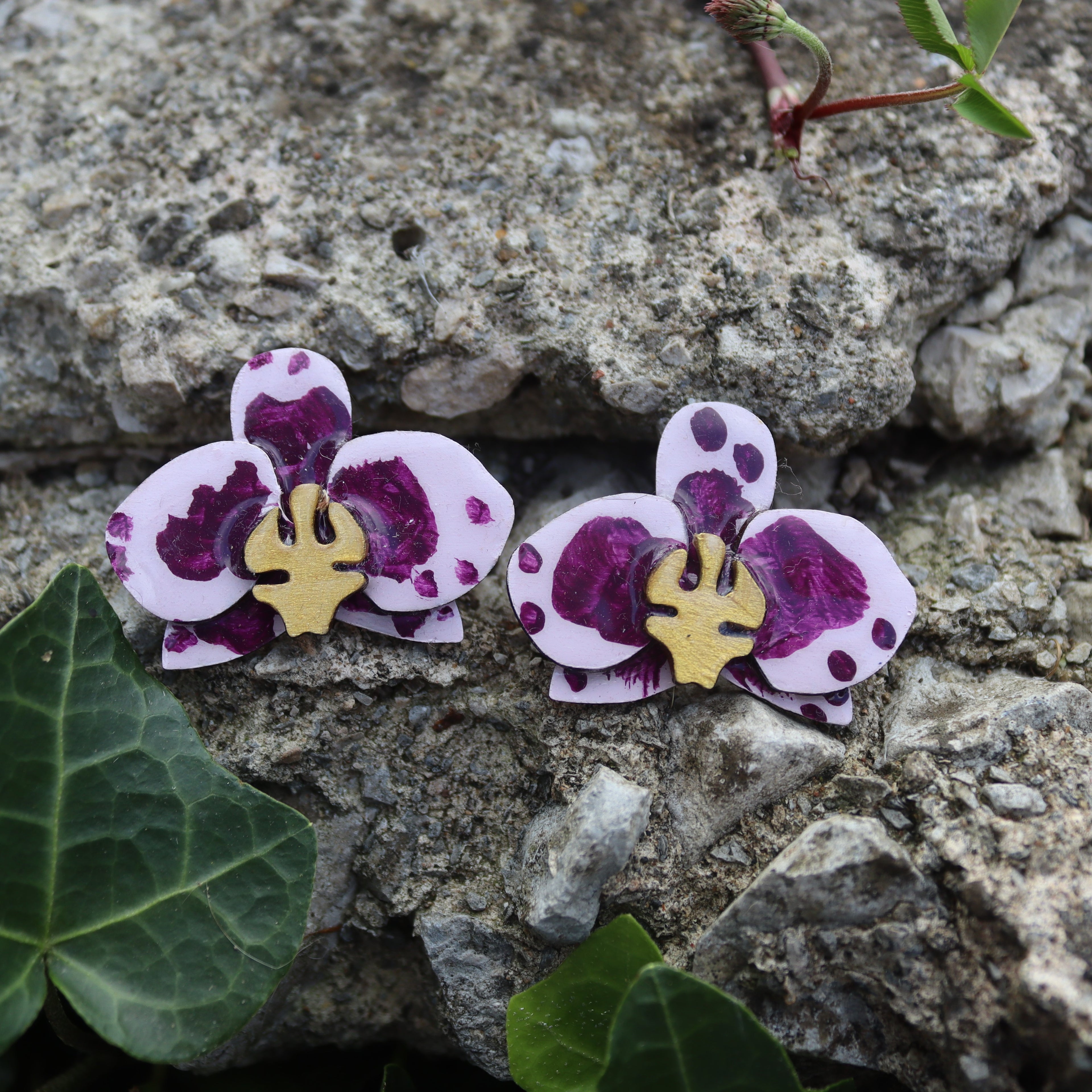 ORQUÍDEA